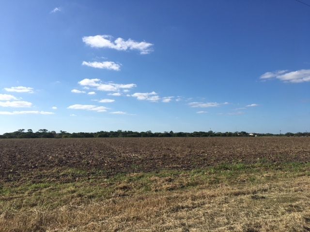 Interstate 69E Development Land: Interstate 69E - Frontage, Raymondville, TX 78580